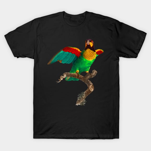 Black Panther Art - Beautiful Parrot 2 T-Shirt by The Black Panther